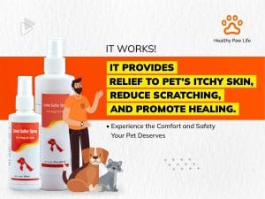 Lime Sulfur Spray - Healthy Paw Life Website Banner