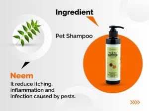 Flea and Tick 2 - in - 1 Shampoo & Conditioner for Dogs and Cats (200ml) -- Ingredient