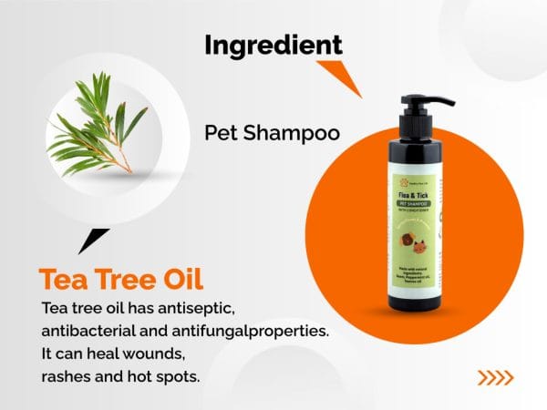 Flea and Tick 2 - in - 1 Shampoo & Conditioner for Dogs and Cats(200ml) 3 Flea and Tick 2 - in - 1 Shampoo & Conditioner for Dogs and Cats (200ml) -- Ingredient