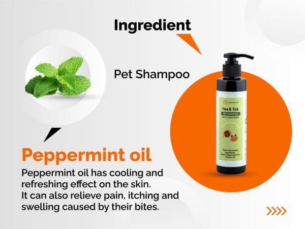 Flea and Tick 2 - in - 1 Shampoo & Conditioner for Dogs and Cats(200ml) 5 Flea and Tick 2 - in - 1 Shampoo & Conditioner for Dogs and Cats (200ml) -- Ingredient Guide