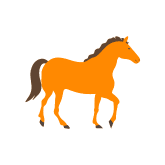 Horse Collection PNG