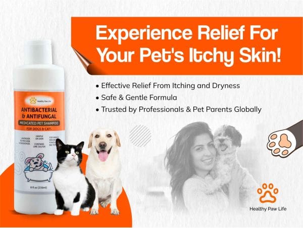 Lime Sulfur Pet Shampoo(Anti Bacterial & Anti fungal medicated Shampoo) 6 Lime Sulfur Shampoo