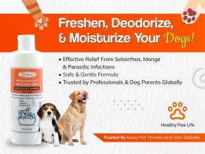 Antiparasitic & Antiseborrheic Shampoo (Sulfur Salicylic Acid Oatmeal Dog Shampoo)