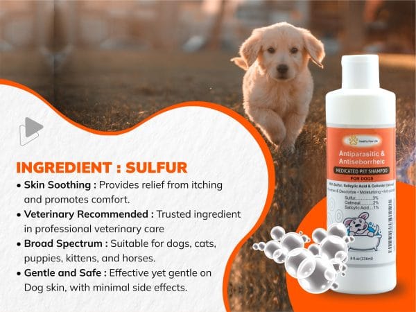 Sulfur Salicylic Acid Oatmeal Dog Shampoo (Antiparasitic & Antiseborrheic Shampoo)
