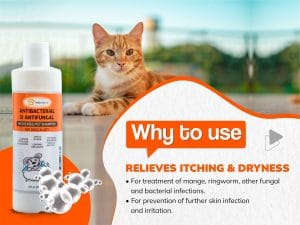 Lime Sulfur Pet Shampoo