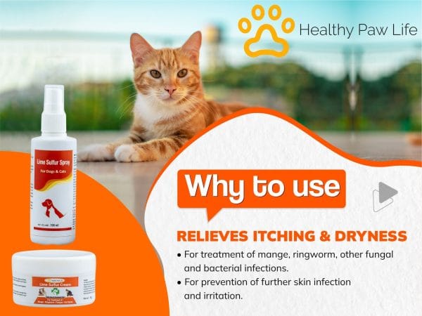 Lime Sulfur Pet Skin Cream(50gm) and Spray(100ml)