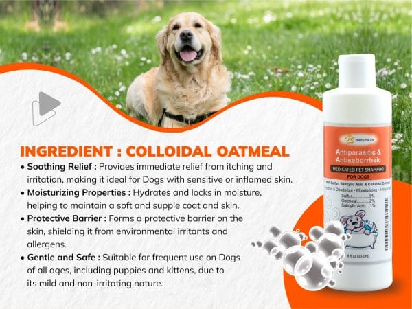 Sulfur Salicylic Acid Oatmeal Dog Shampoo (Antiparasitic & Antiseborrheic Shampoo)