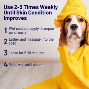 Sulfur & Neem Restorative Shampoo with Oatmeal