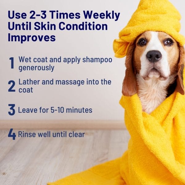 Sulfur & Neem Restorative Shampoo with Oatmeal 4 Sulfur & Neem Restorative Shampoo with Oatmeal