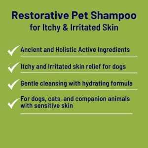 Sulfur Neem Shampoo Product Listing