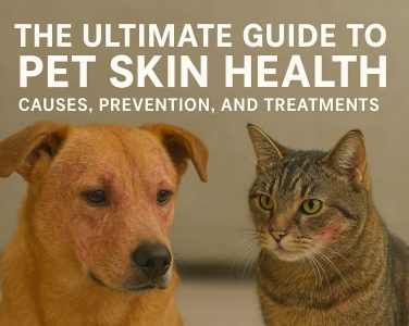 The Ultimate Guide to Pet Skin Health - Causes, Prevention, and Treatments